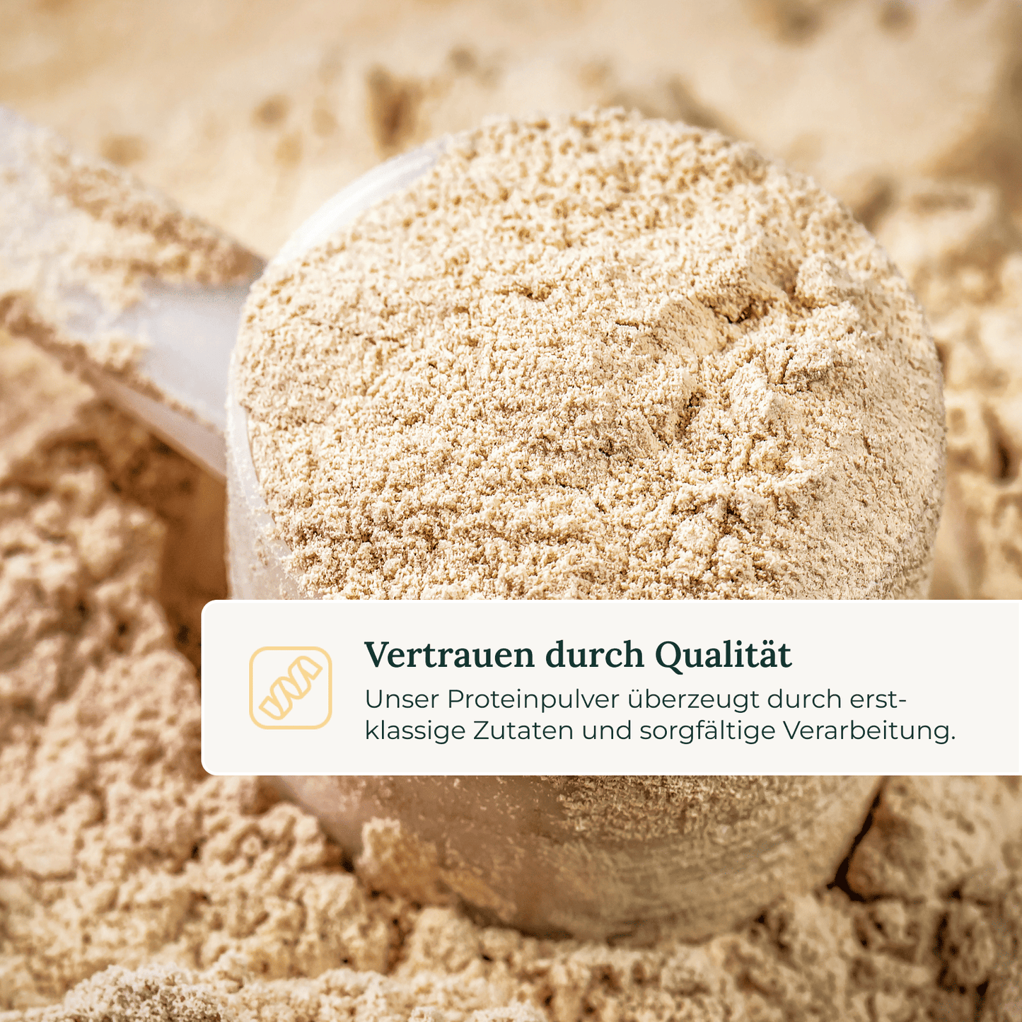 #Whey Protein Concentrate (Dein Geschmack)_Salted Caramel